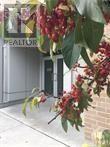 Ph6 - 235 Patterson Avenue, Ottawa, Ontario  K1S 1Y4 - Photo 2 - X13274612