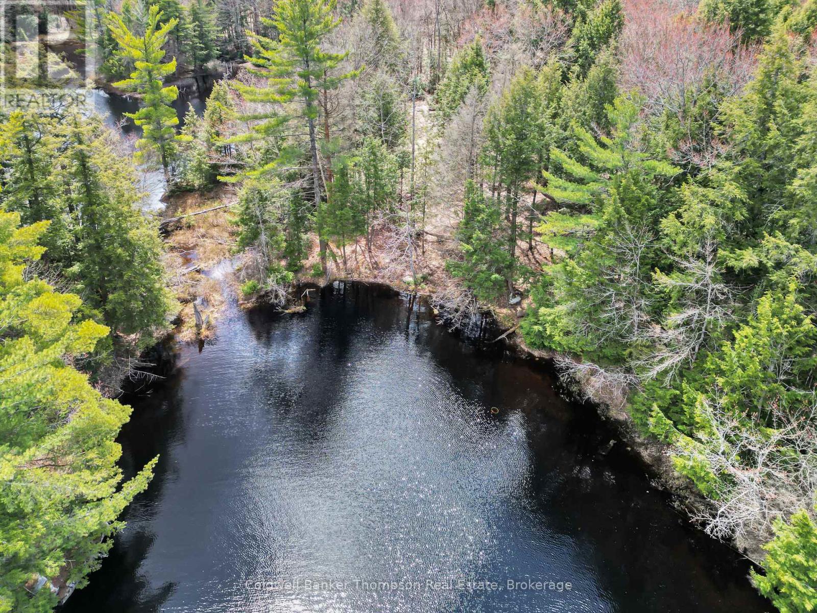 88 Lake Vision Road, Mcmurrich/monteith, Ontario P0A 1P0 - Photo 10 - X13117164