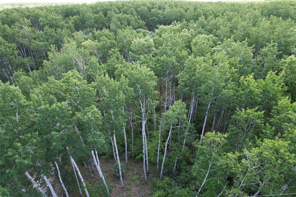 151 Cable Bridge Road, Roseau River, Manitoba  R0A 1P0 - Photo 3 - 202612791