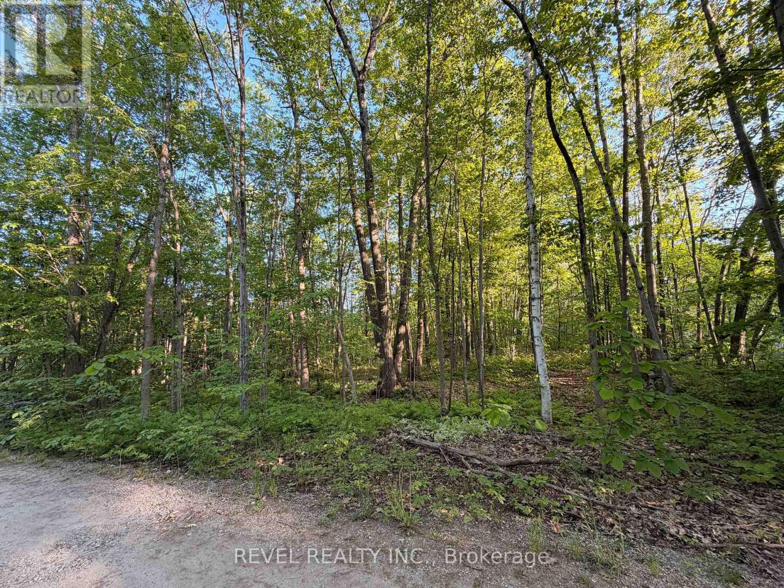 7509 Baldwin Lane, Ramara, Ontario  L0K 2B0 - Photo 8 - S13281908