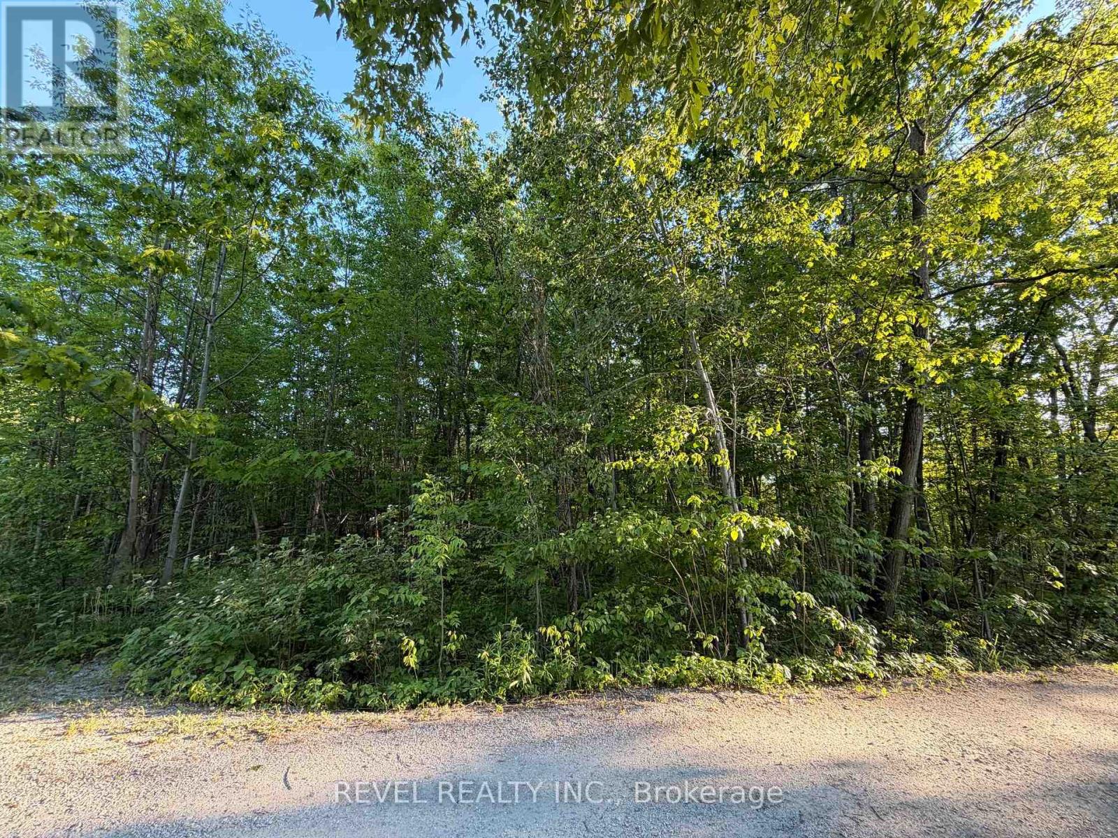 7509 Baldwin Lane, Ramara, Ontario  L0K 2B0 - Photo 9 - S13281908