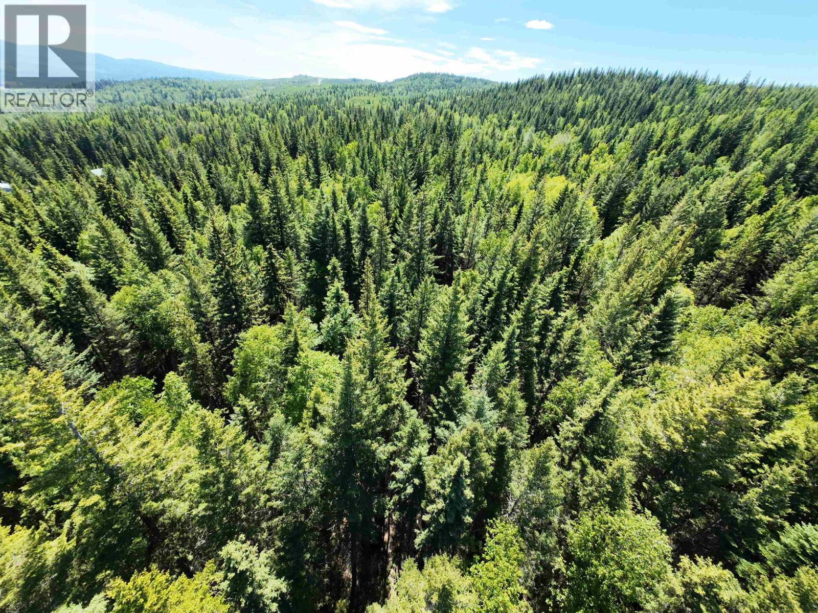 Lot 4 Erb Road, Quesnel, British Columbia  V2J 6H5 - Photo 8 - R3133032