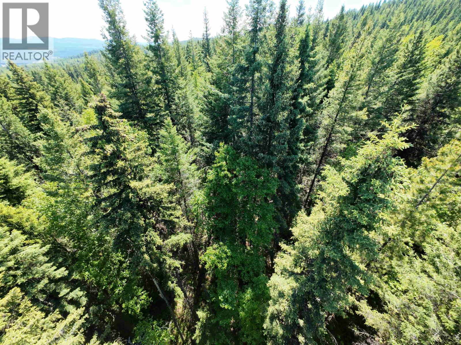 Lot 4 Erb Road, Quesnel, British Columbia  V2J 6H5 - Photo 9 - R3133032