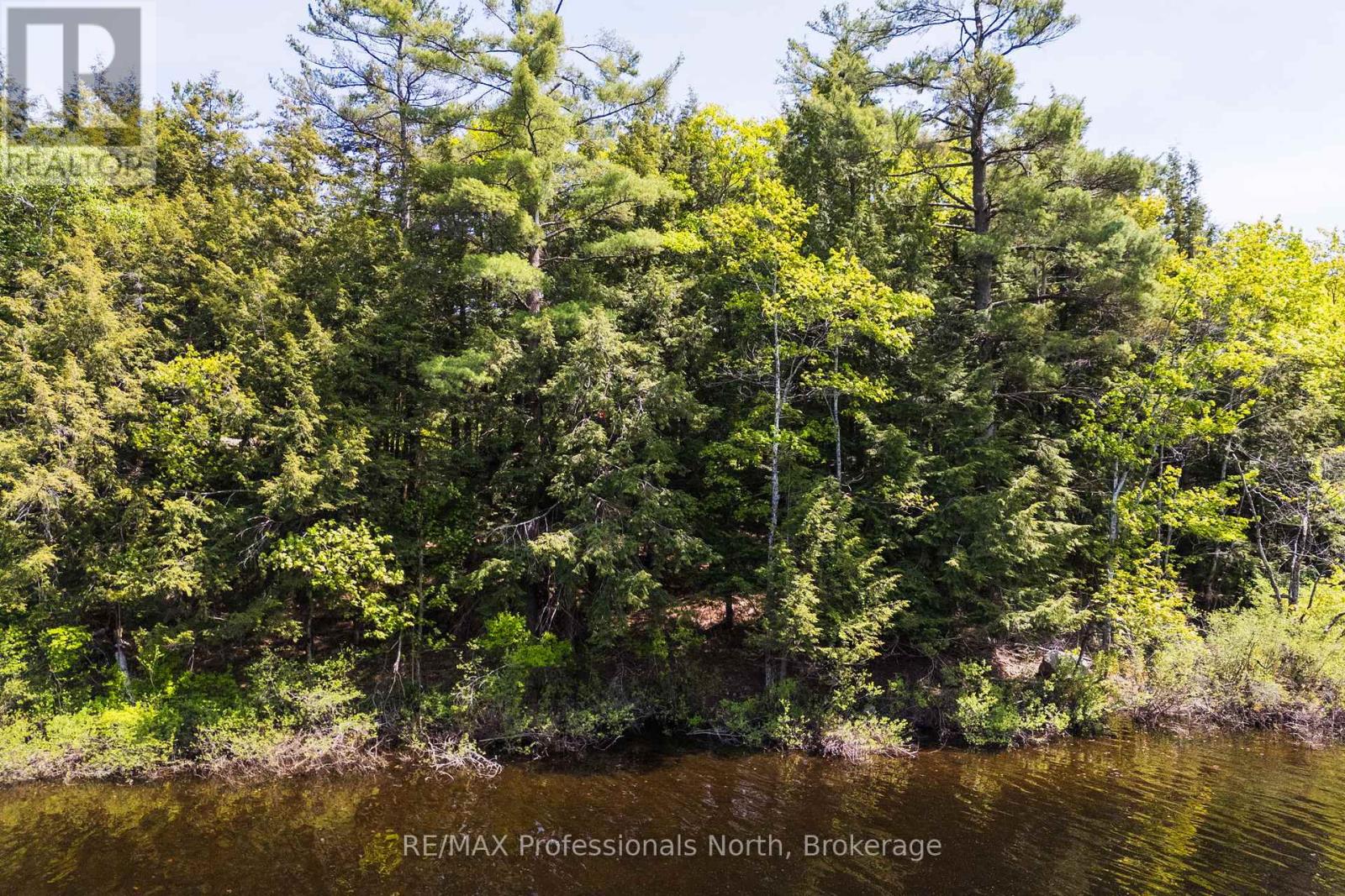 2 - 1204 South Morrison Lake Road, Gravenhurst, Ontario  P0E 1G0 - Photo 11 - X13290732
