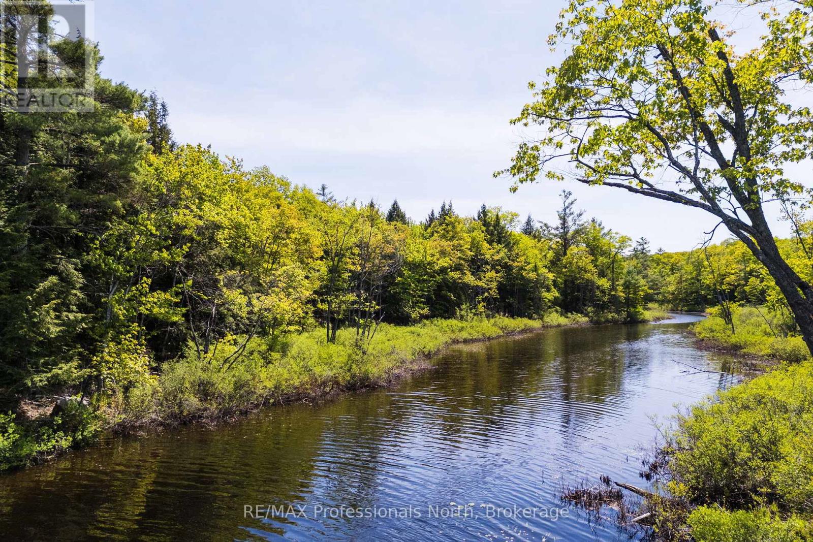 2 - 1204 South Morrison Lake Road, Gravenhurst, Ontario  P0E 1G0 - Photo 12 - X13290732