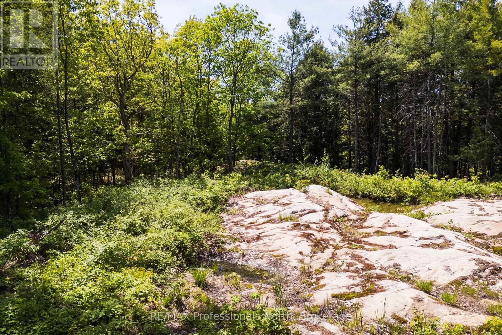 2 - 1204 South Morrison Lake Road, Gravenhurst, Ontario  P0E 1G0 - Photo 16 - X13290732