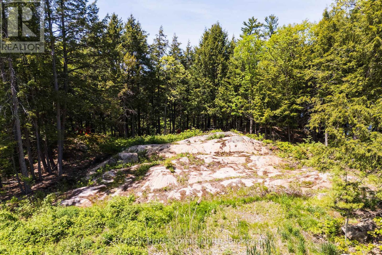 2 - 1204 South Morrison Lake Road, Gravenhurst, Ontario  P0E 1G0 - Photo 19 - X13290732