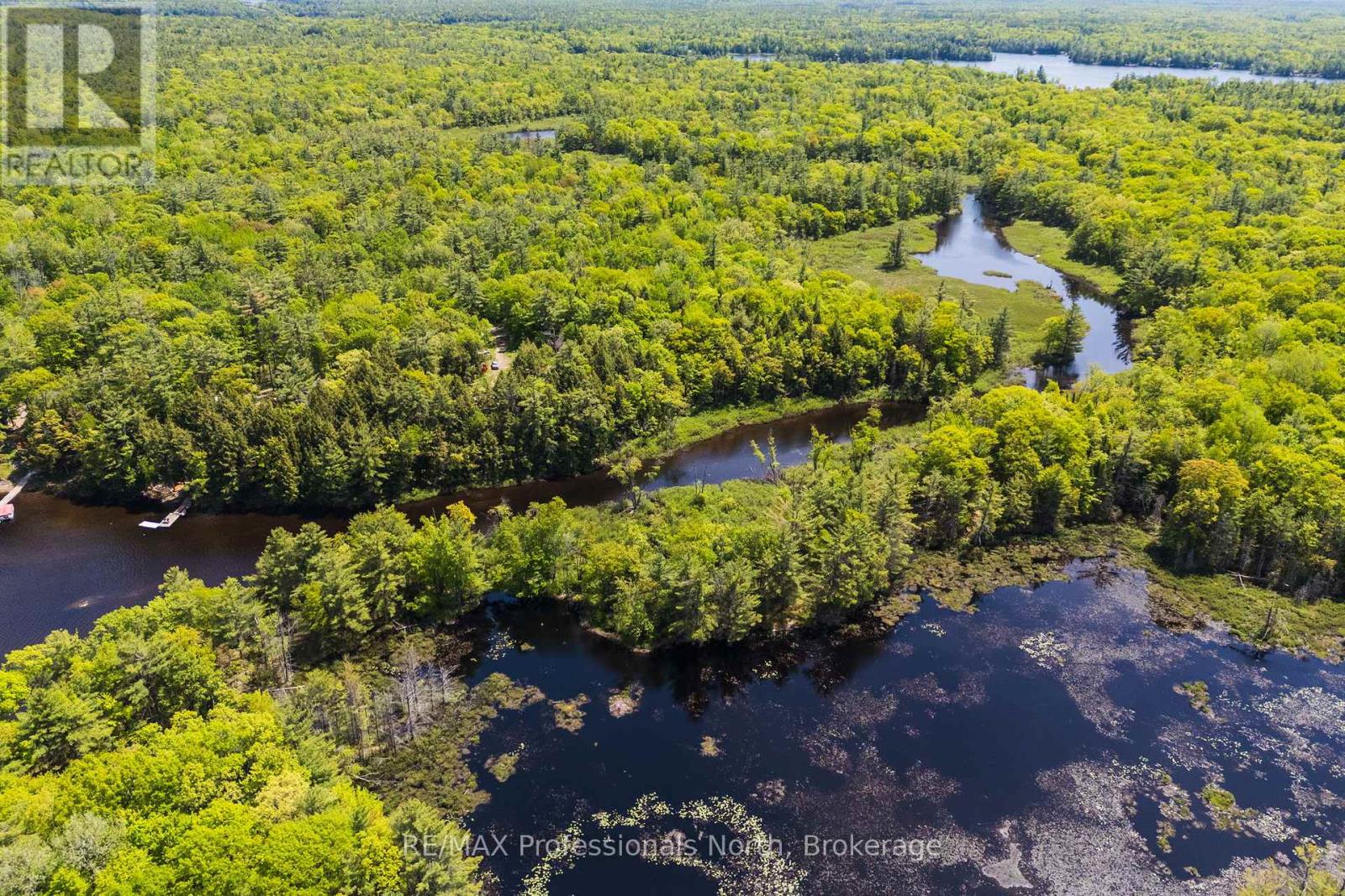 2 - 1204 South Morrison Lake Road, Gravenhurst, Ontario  P0E 1G0 - Photo 4 - X13290732