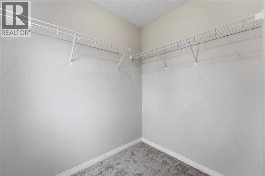 171 Chelsea Road, Chestermere, Alberta  T1X 1Z3 - Photo 20 - A2317303