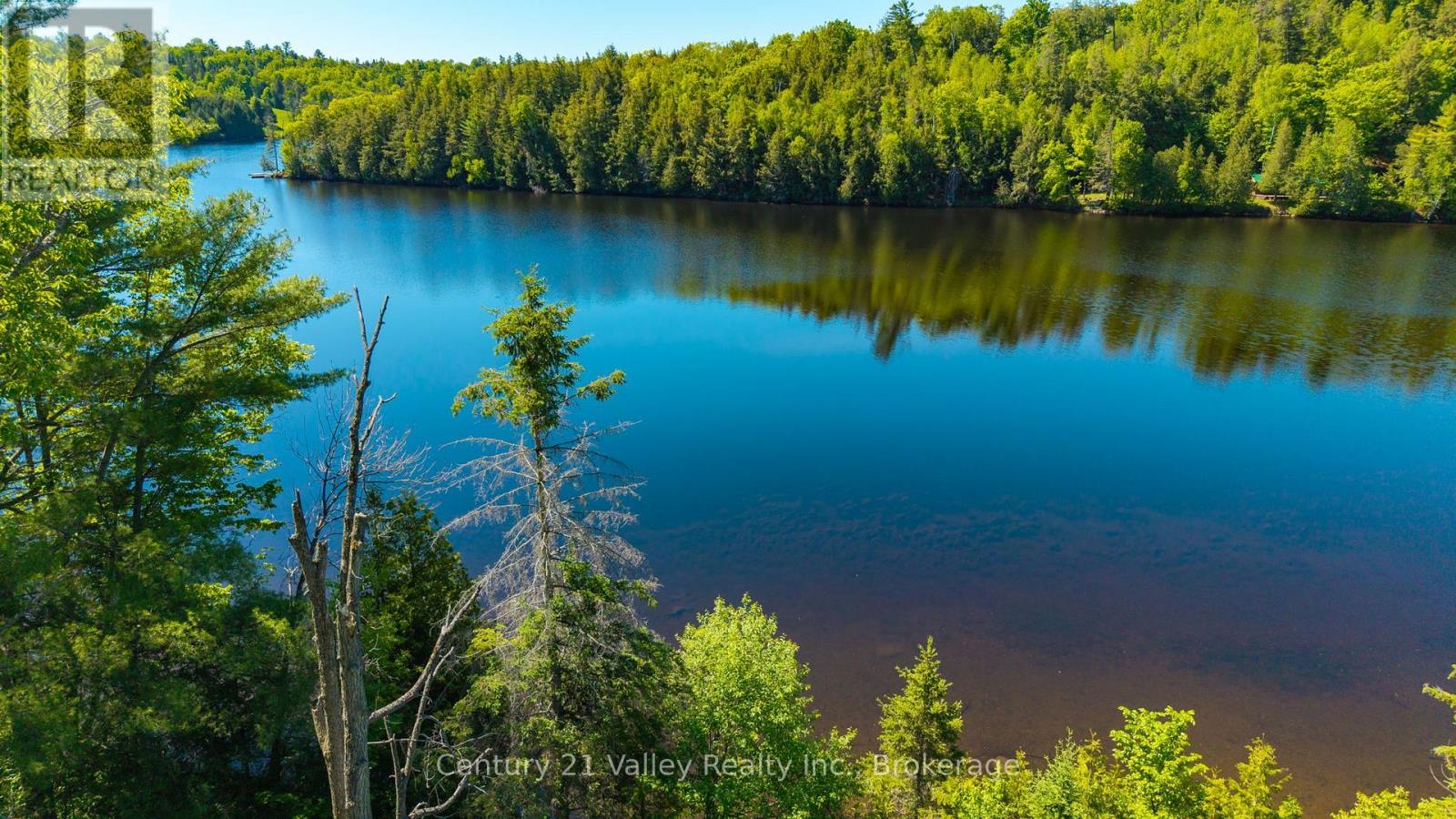 3233 Calabogie Road, Greater Madawaska, Ontario  K0J 1H0 - Photo 5 - X13296038