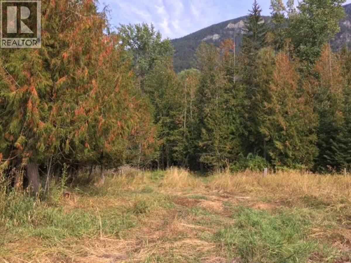 4856 32 Street, Canyon, British Columbia  V0B 1C1 - Photo 21 - 10390497