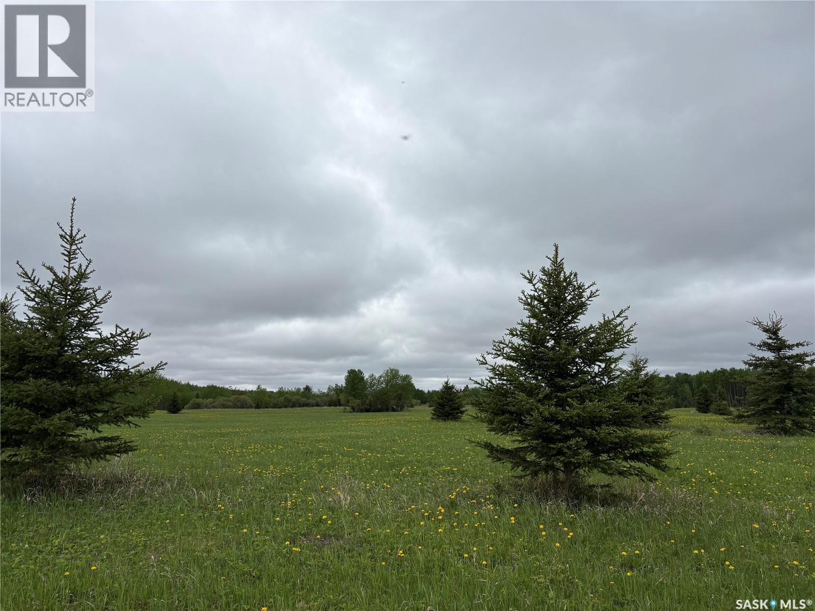 Rockford Recreational Quarter, Hazel Dell Rm No. 335, Saskatchewan  S0A 2H0 - Photo 10 - SK038416