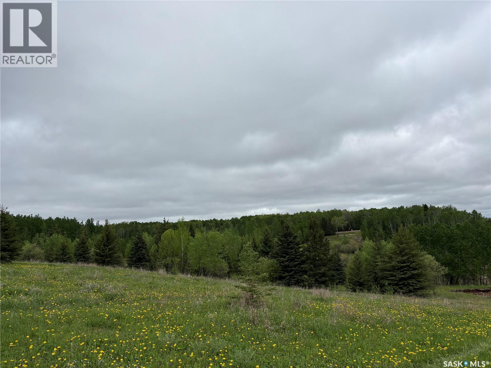 Rockford Recreational Quarter, Hazel Dell Rm No. 335, Saskatchewan  S0A 2H0 - Photo 11 - SK038416