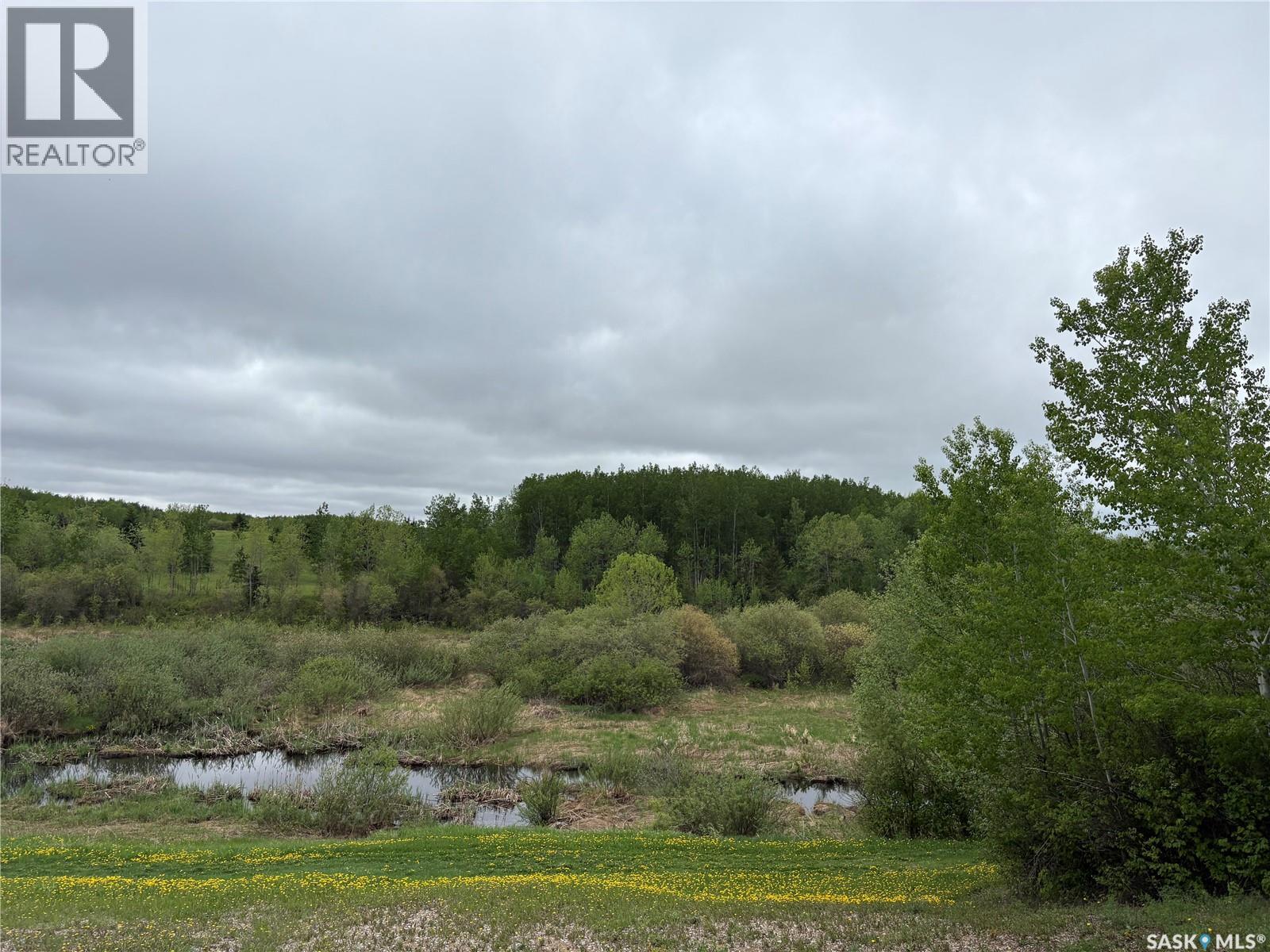 Rockford Recreational Quarter, Hazel Dell Rm No. 335, Saskatchewan  S0A 2H0 - Photo 12 - SK038416