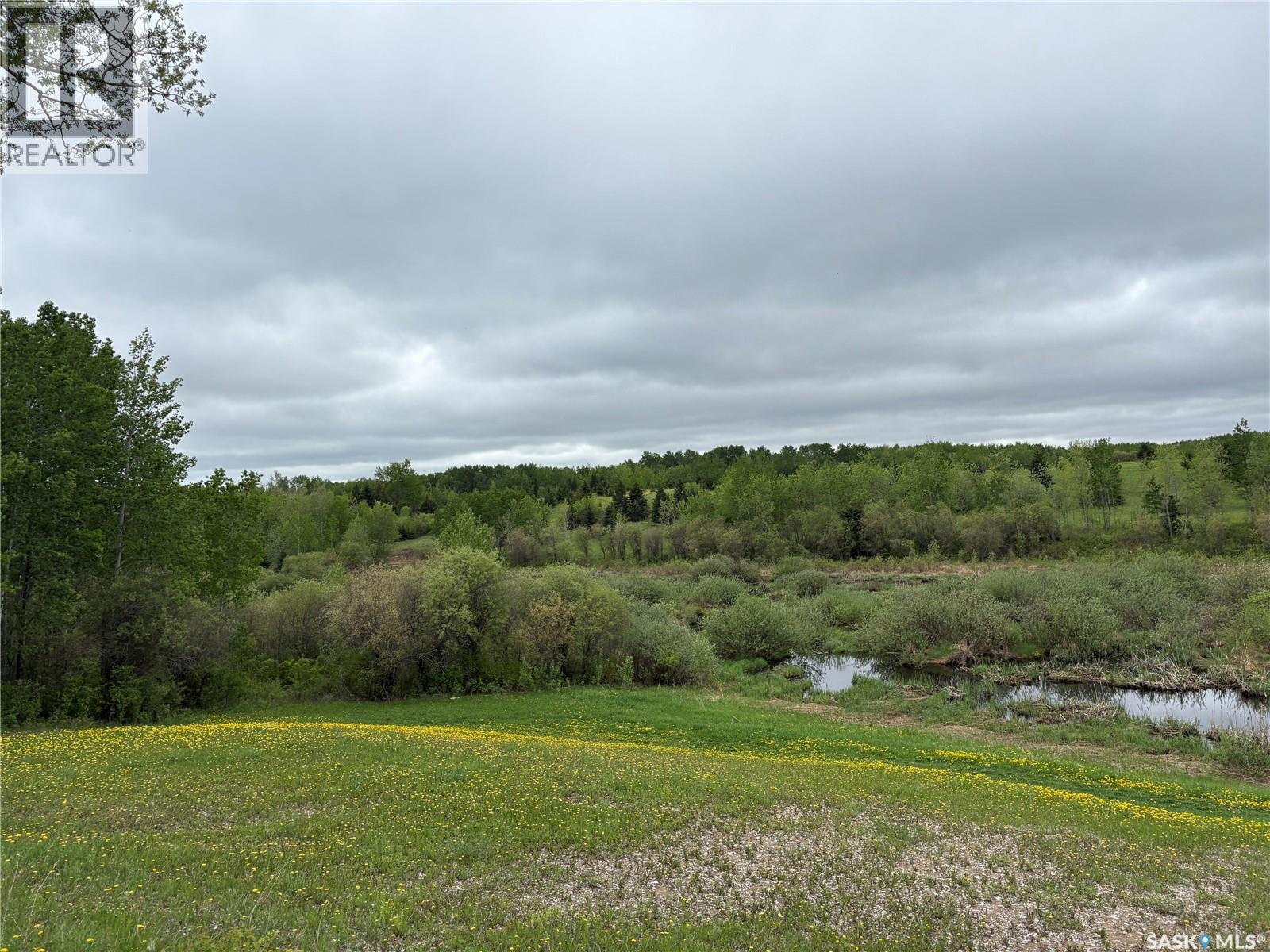 Rockford Recreational Quarter, Hazel Dell Rm No. 335, Saskatchewan  S0A 2H0 - Photo 13 - SK038416
