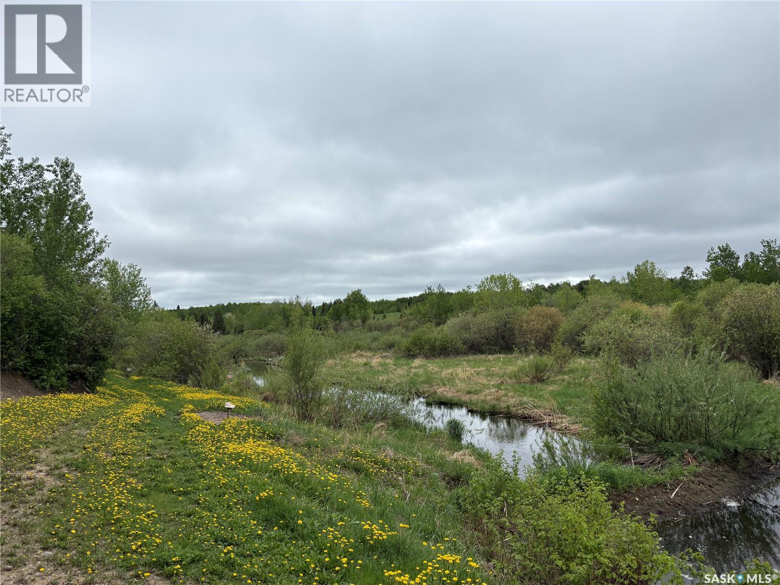 Rockford Recreational Quarter, Hazel Dell Rm No. 335, Saskatchewan  S0A 2H0 - Photo 17 - SK038416