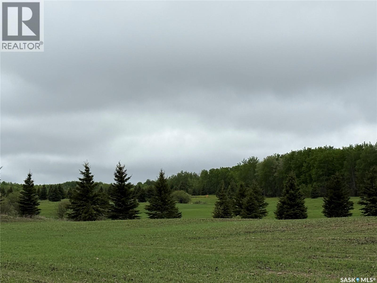 Rockford Recreational Quarter, Hazel Dell Rm No. 335, Saskatchewan  S0A 2H0 - Photo 71 - SK038416