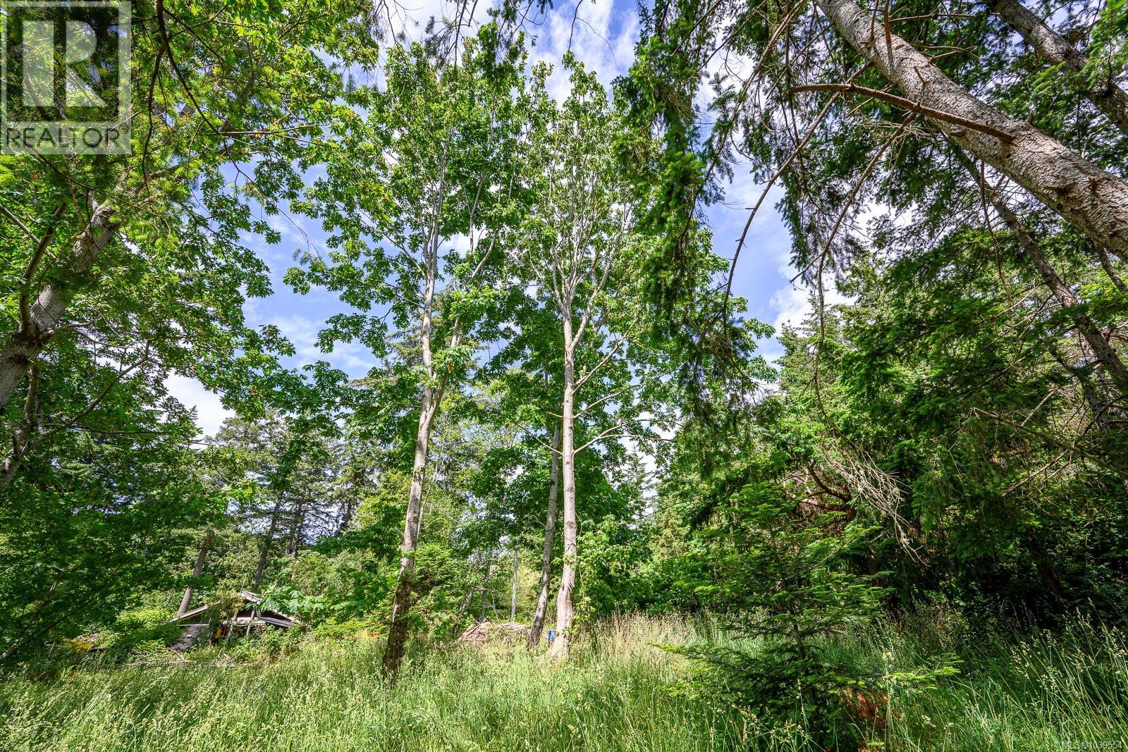 4920 Kirk Rd, Hornby Island, British Columbia
