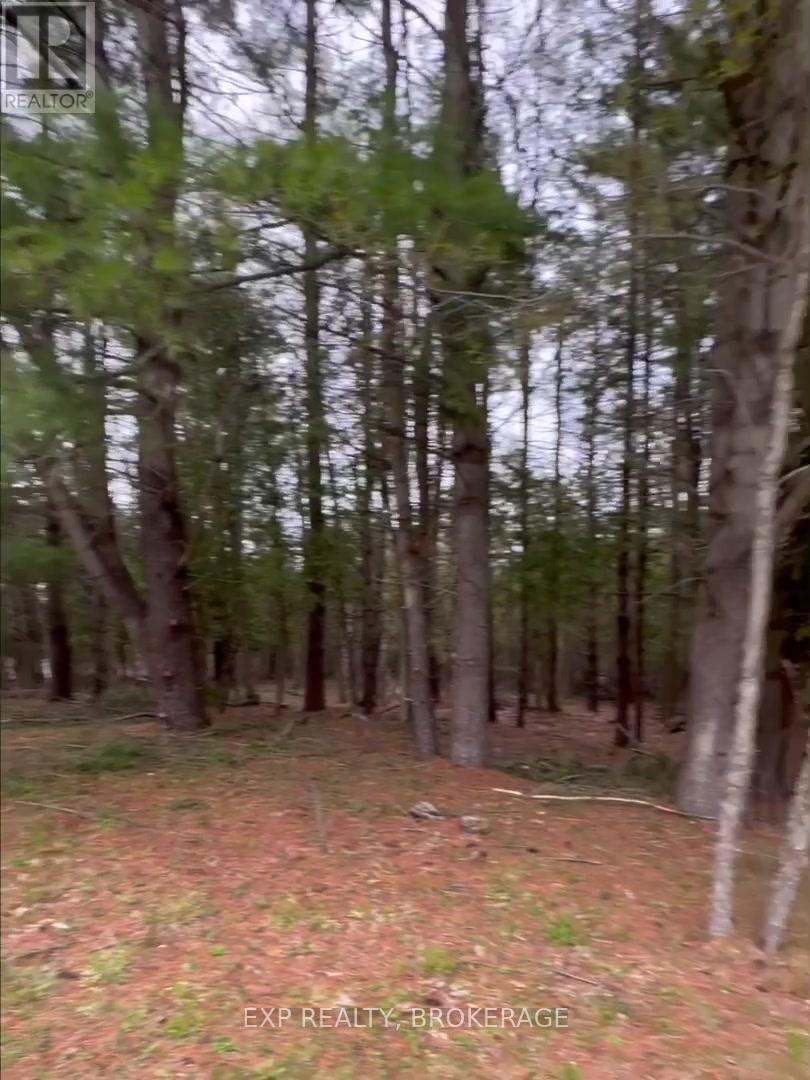 7666 Highway 38 Road, Frontenac, Ontario  K0H 2W0 - Photo 14 - X13328330
