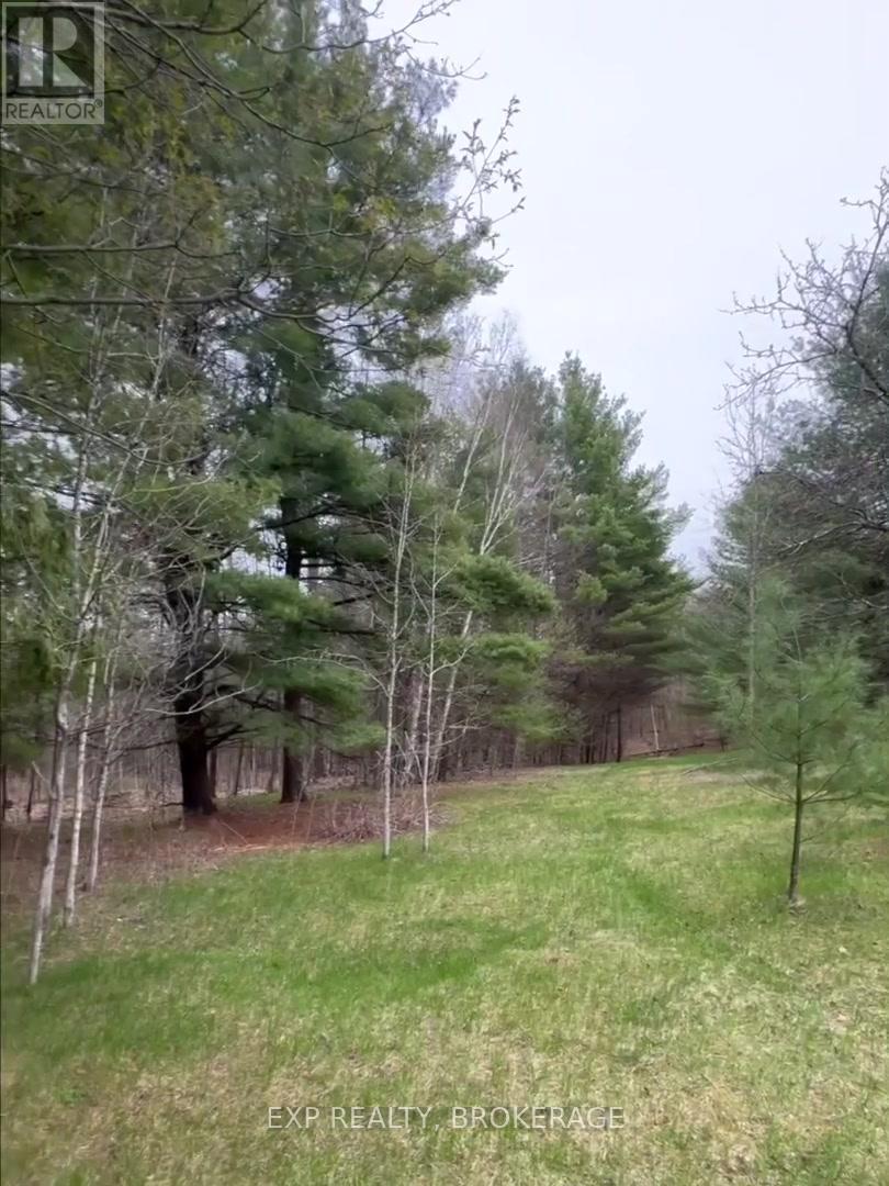 7666 Highway 38 Road, Frontenac, Ontario  K0H 2W0 - Photo 21 - X13328330