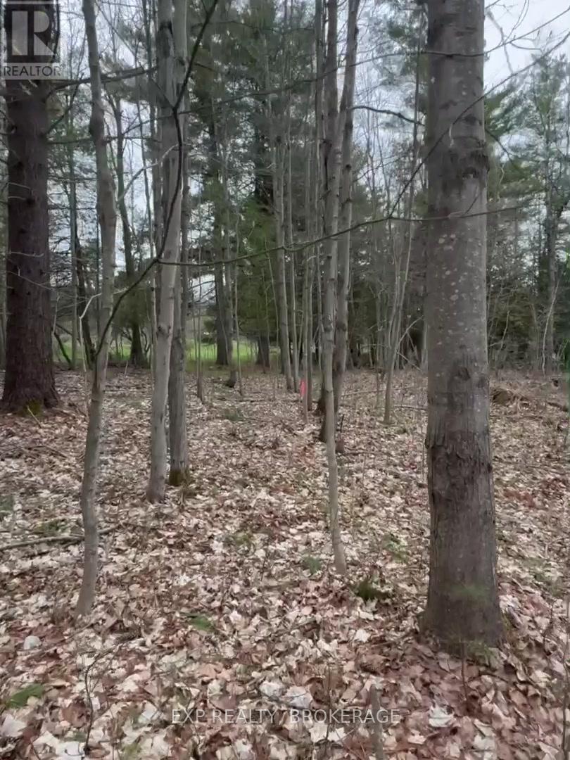 7666 Highway 38 Road, Frontenac, Ontario  K0H 2W0 - Photo 24 - X13328330