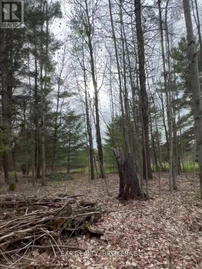7666 Highway 38 Road, Frontenac, Ontario  K0H 2W0 - Photo 22 - X13328330