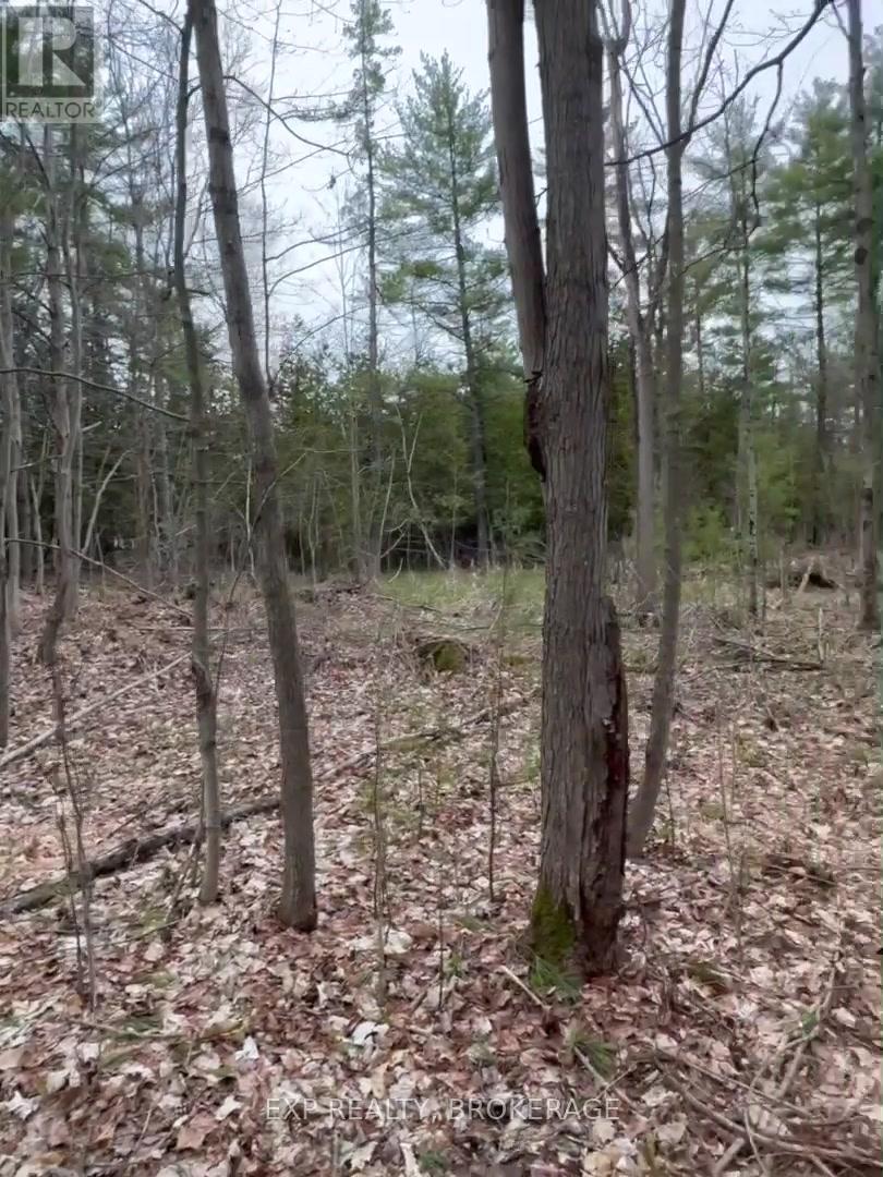 7666 Highway 38 Road, Frontenac, Ontario  K0H 2W0 - Photo 26 - X13328330
