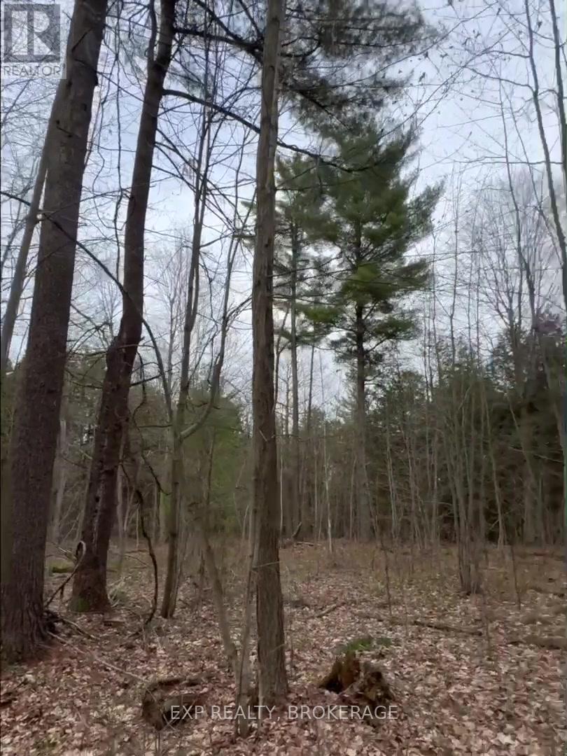 7666 Highway 38 Road, Frontenac, Ontario  K0H 2W0 - Photo 28 - X13328330