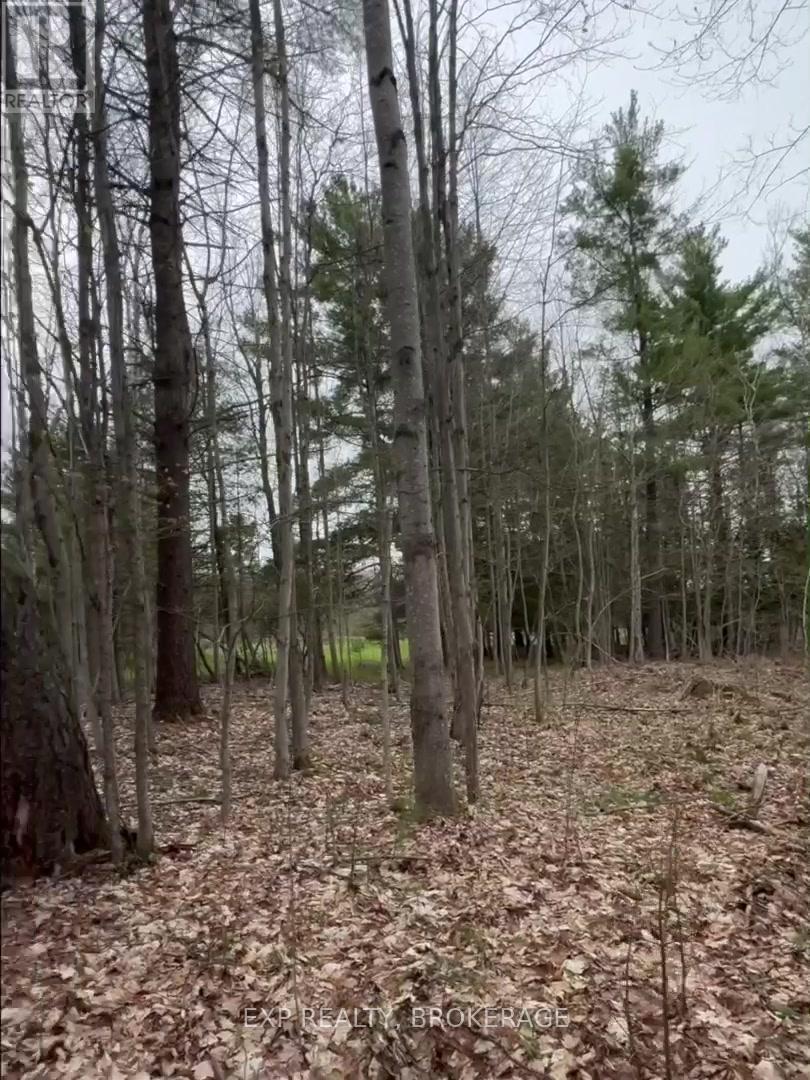7666 Highway 38 Road, Frontenac, Ontario  K0H 2W0 - Photo 27 - X13328330