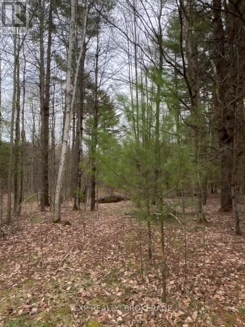 7666 Highway 38 Road, Frontenac, Ontario  K0H 2W0 - Photo 37 - X13328330