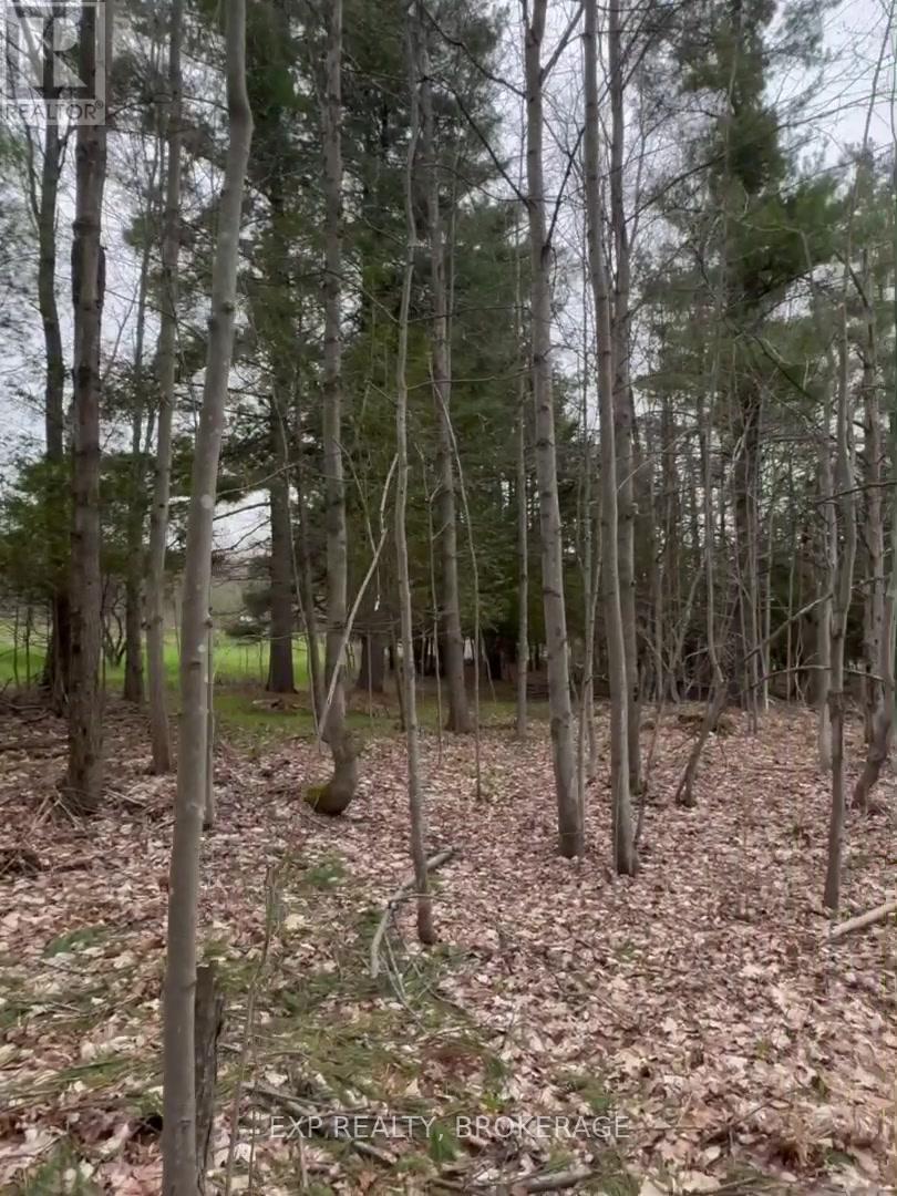 7666 Highway 38 Road, Frontenac, Ontario  K0H 2W0 - Photo 34 - X13328330
