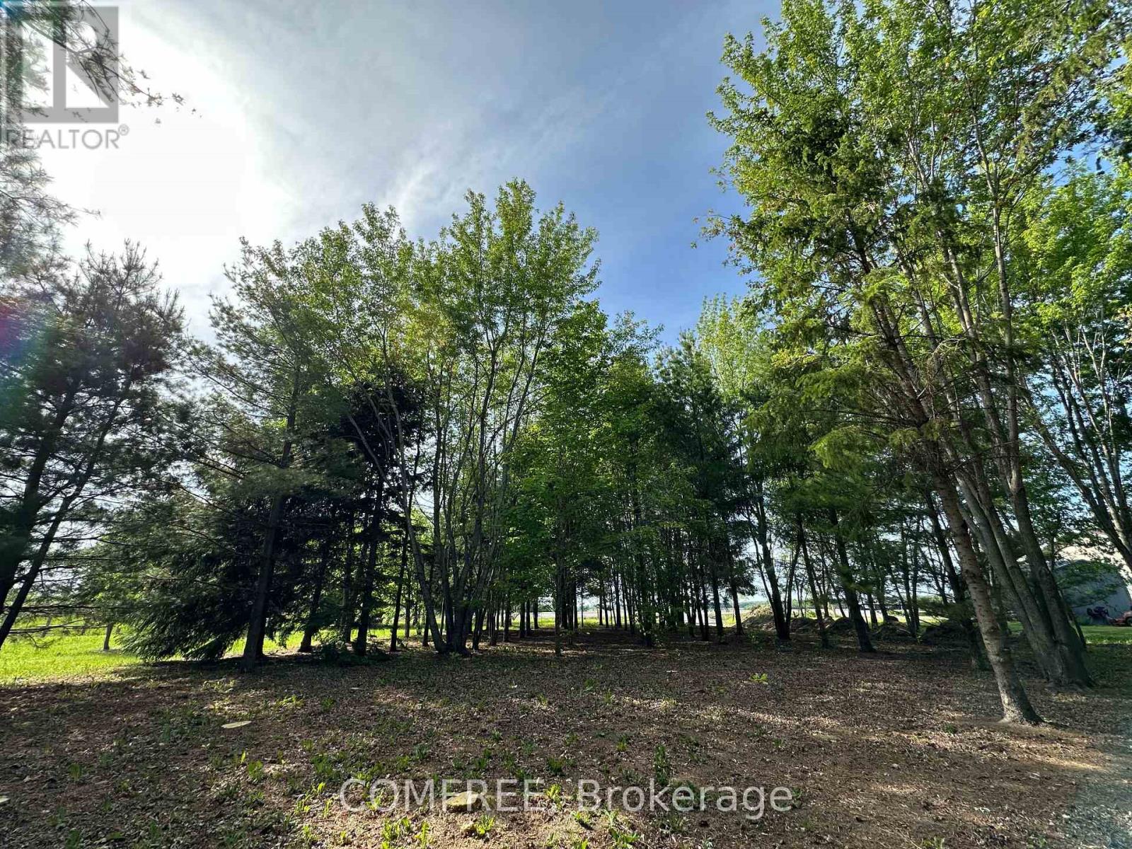 3646 Kinburn Side Road, Ottawa, Ontario  K0A 2H0 - Photo 14 - X13248142