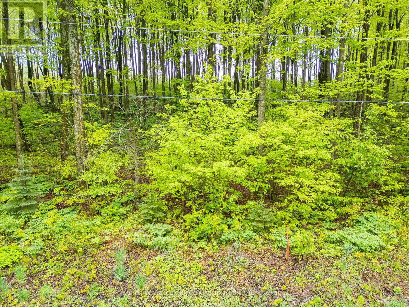 Pt Lt 6 Baseline Road, Grey Highlands, Ontario  N0C 1H0 - Photo 6 - X13282442