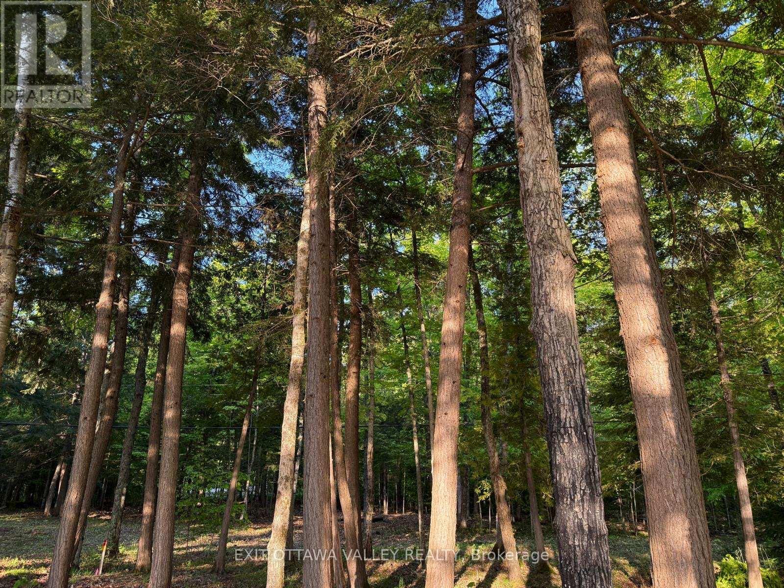 0 Lakeshore Drive, Hastings Highlands, Ontario K0J 1L0 - Photo 26 - X13410308