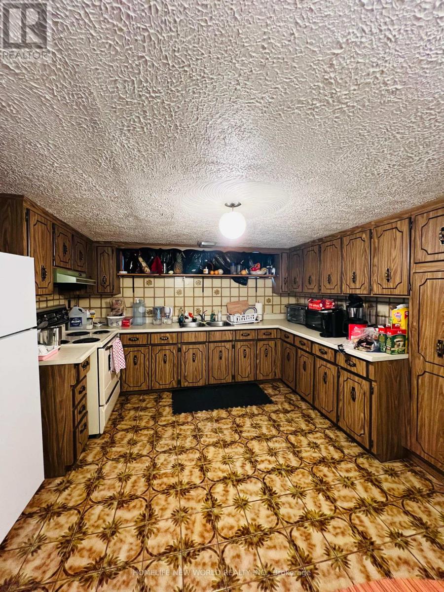 Basement - 213 Beechy Drive, Richmond Hill, Ontario  L4C 2X6 - Photo 2 - N13410344