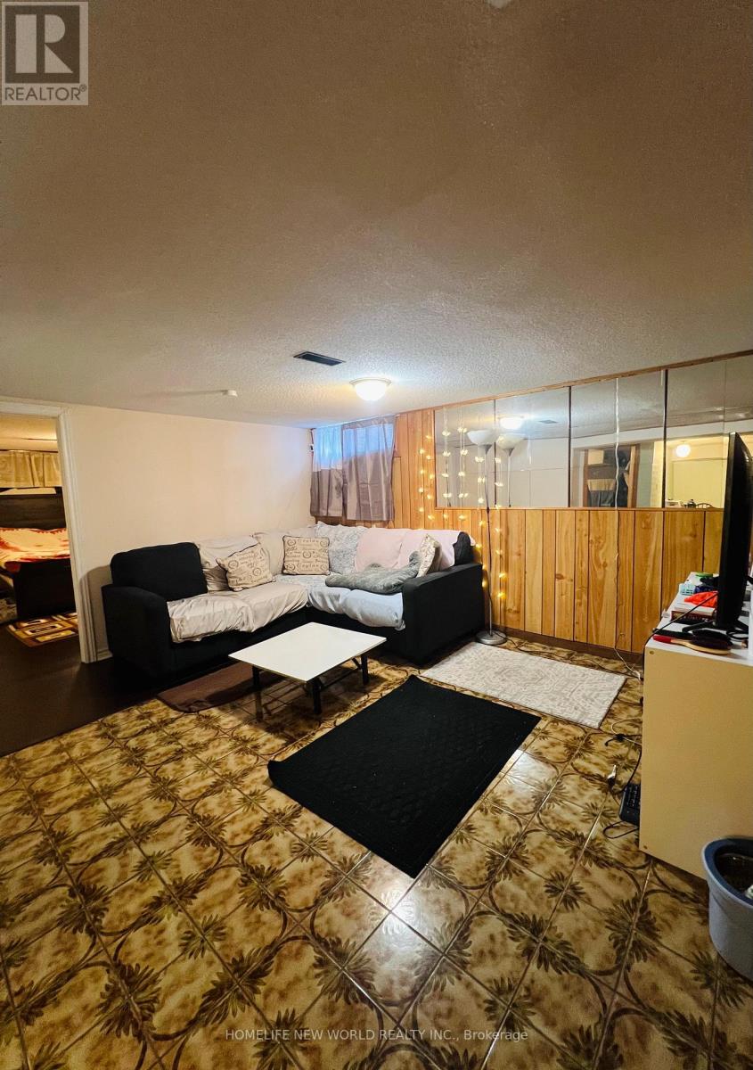 Basement - 213 Beechy Drive, Richmond Hill, Ontario  L4C 2X6 - Photo 3 - N13410344