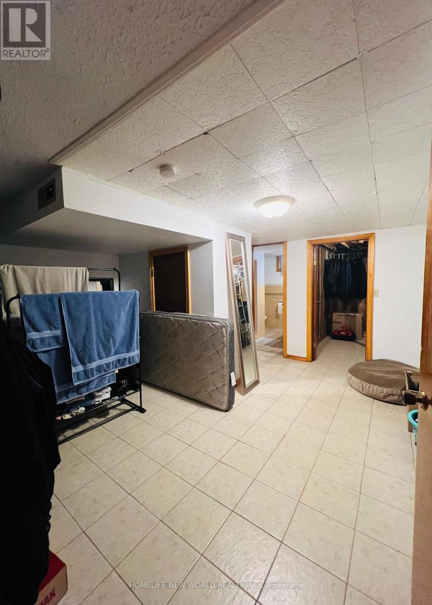Basement - 213 Beechy Drive, Richmond Hill, Ontario  L4C 2X6 - Photo 5 - N13410344