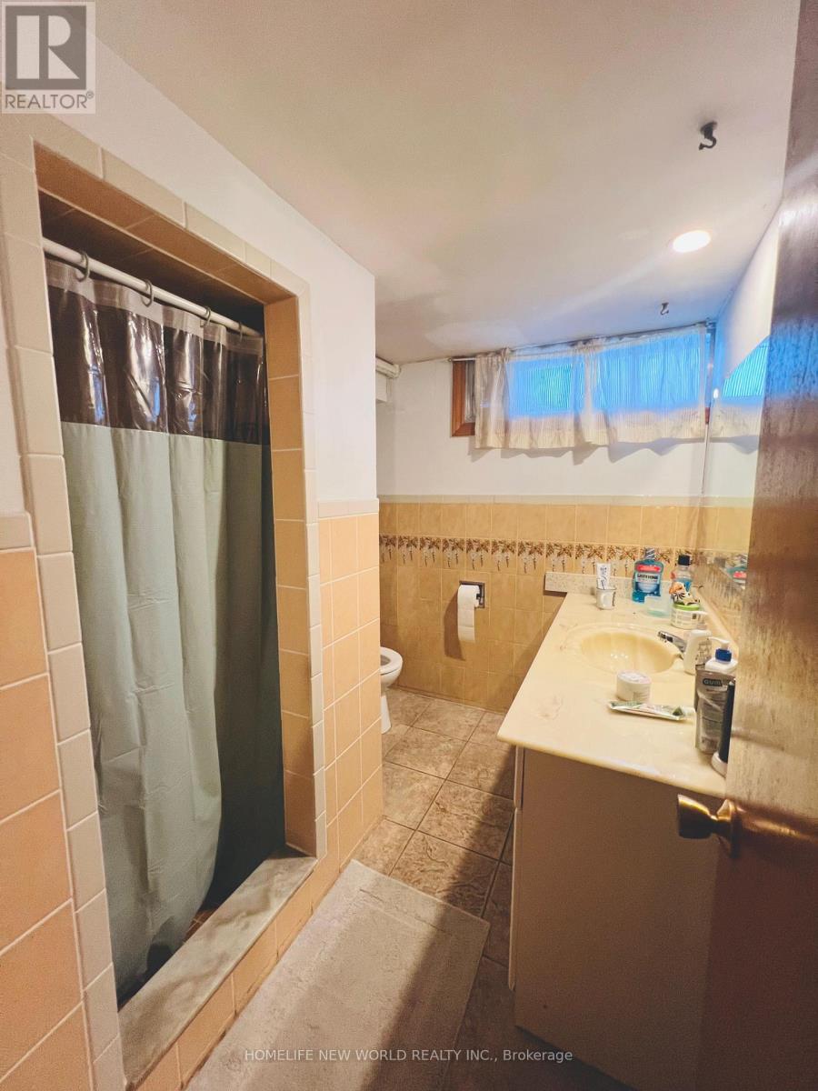 Basement - 213 Beechy Drive, Richmond Hill, Ontario  L4C 2X6 - Photo 6 - N13410344