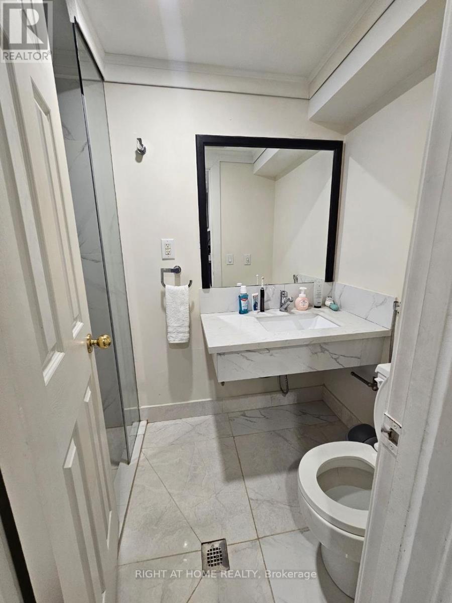 Basement #2 - 55 Dallas Road, Toronto, Ontario  M2R 2J3 - Photo 14 - C13232988