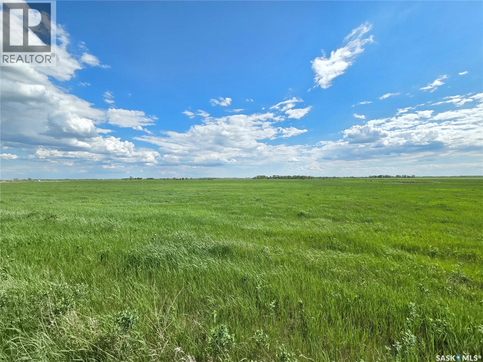 Mckennitt Land & Buildings, Mount Pleasant Rm No. 2, Saskatchewan S0C 0S0 - Photo 6 - SK029828
