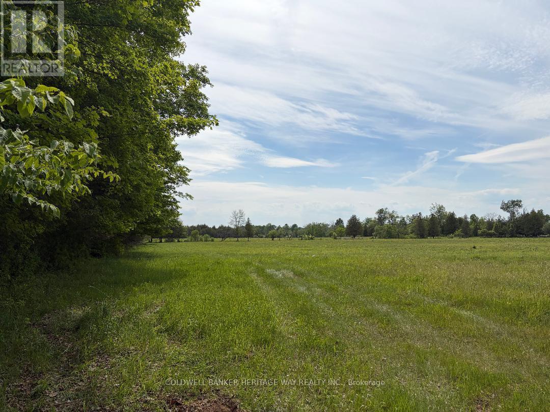 00 Ramsay Concession 1 Road, Mississippi Mills, Ontario  K7C 0T9 - Photo 4 - X13250050