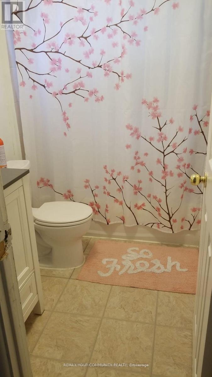 (Main Level) - 38 Peking Road, Toronto, Ontario  M1J 2X4 - Photo 25 - E13410228