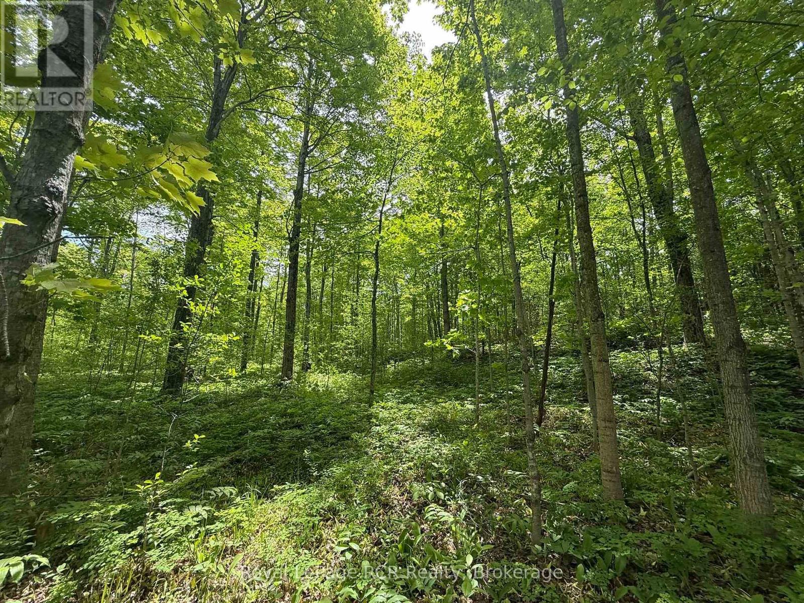 Part Lot 24 Grey Road 12, West Grey, Ontario  N0C 1H0 - Photo 4 - X13410450