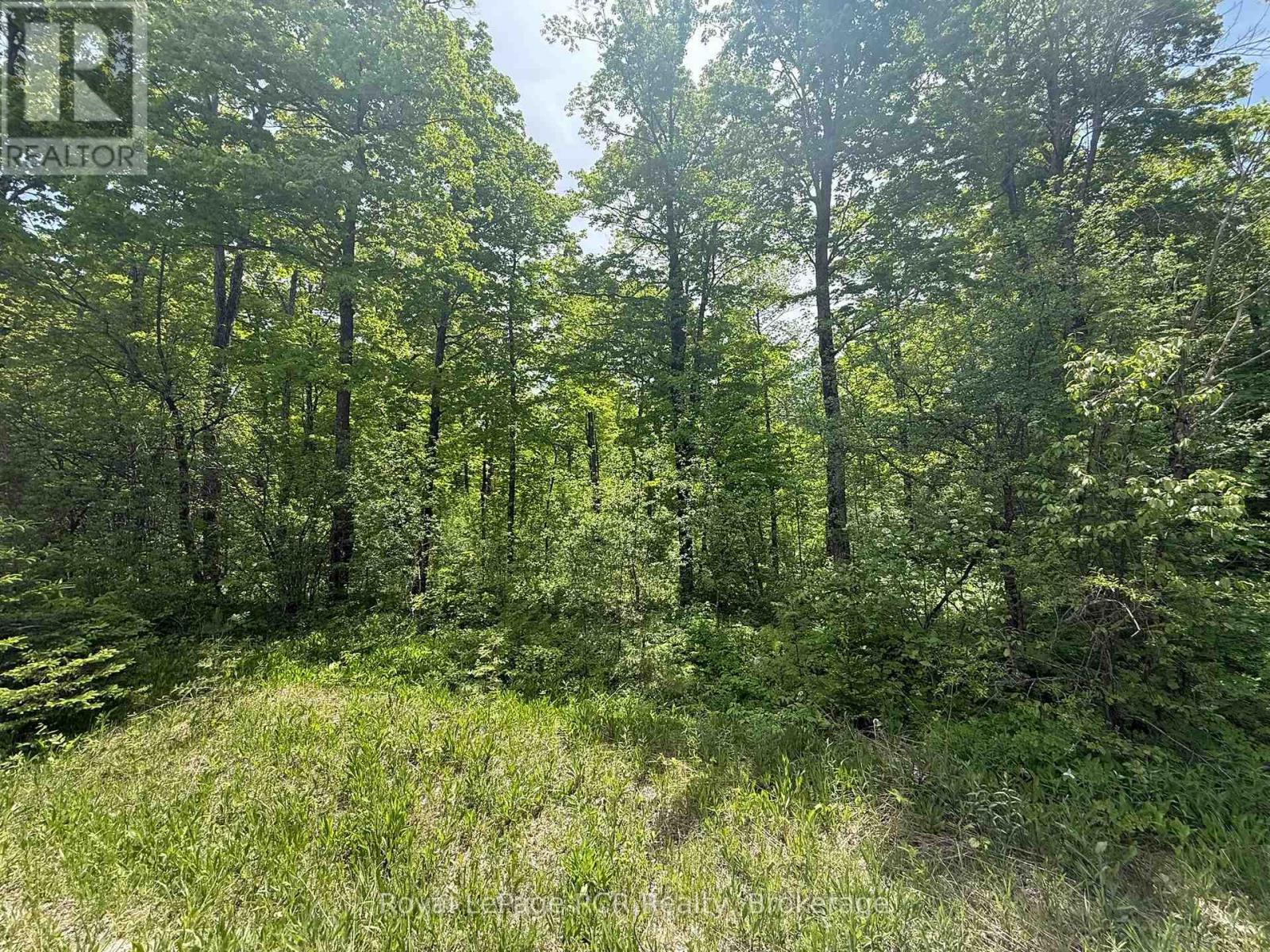 Part Lot 24 Grey Road 12, West Grey, Ontario  N0C 1H0 - Photo 6 - X13410450