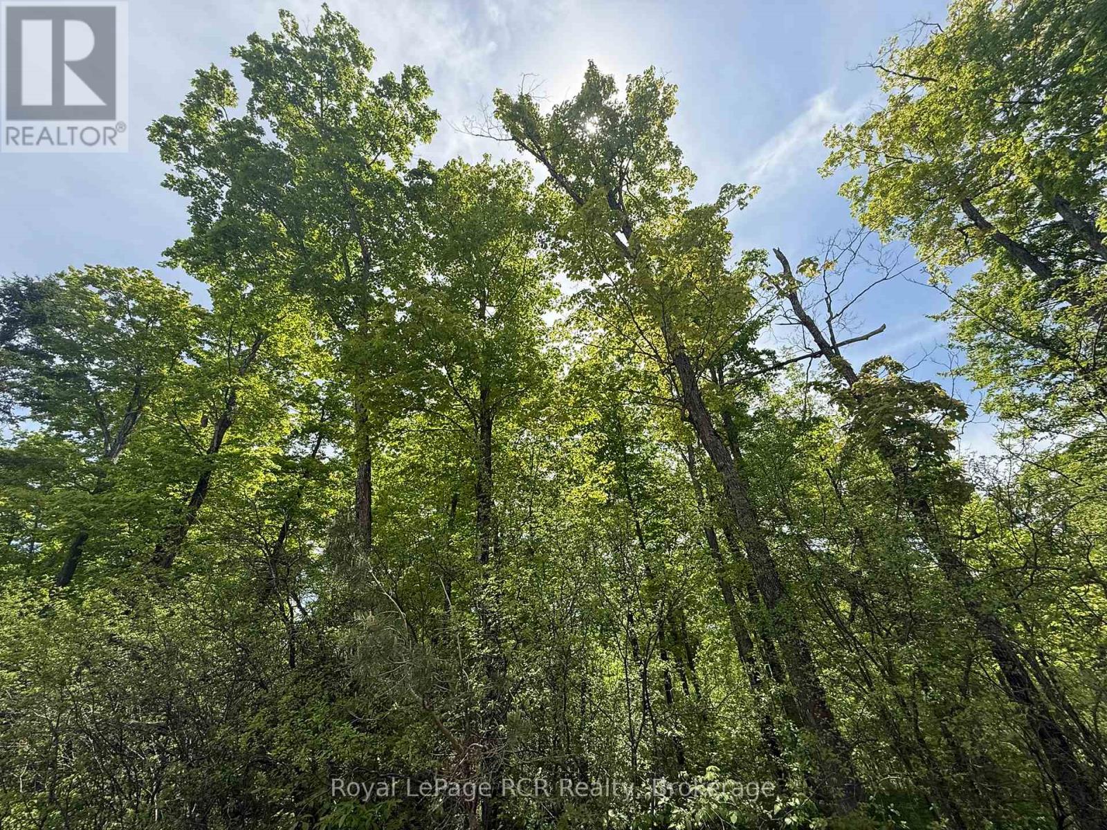 Part Lot 24 Grey Road 12, West Grey, Ontario  N0C 1H0 - Photo 7 - X13410450