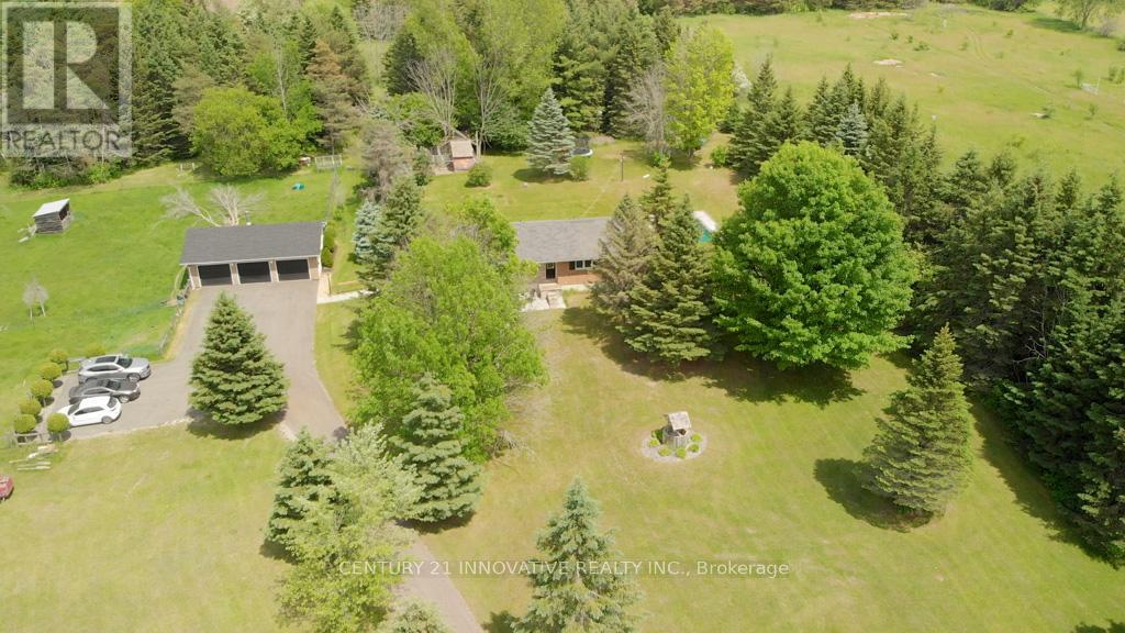 3683 Newtonville Road, Clarington, Ontario  L0A 1J0 - Photo 5 - E13410502