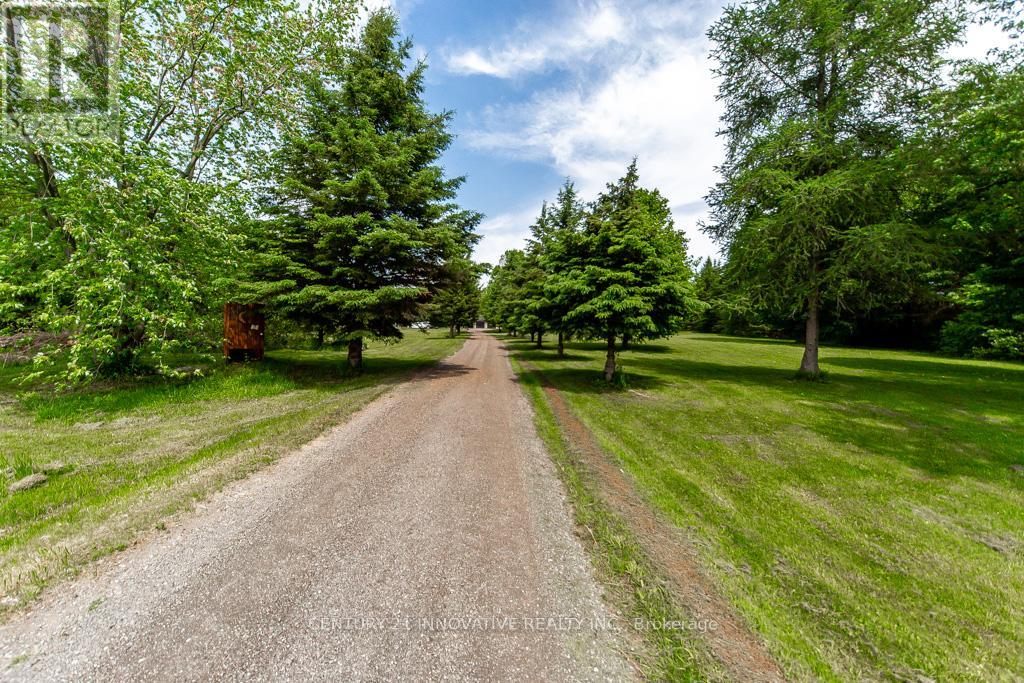 3683 Newtonville Road, Clarington, Ontario  L0A 1J0 - Photo 9 - E13410502