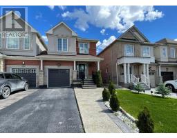 ( LOWER LEVEL ) - 16 NAPOLEON CRESCENT, Brampton, Ontario