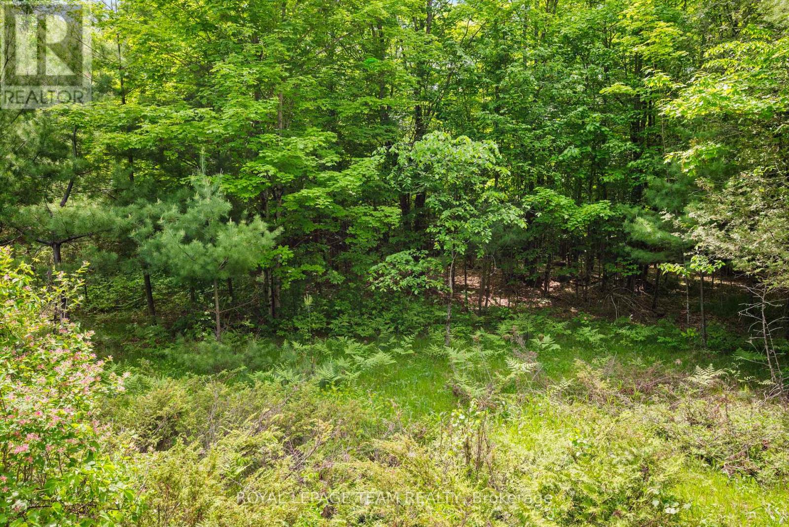 00 Maple Street, Lanark Highlands, Ontario K0G 1M0 - Photo 4 - X12999806
