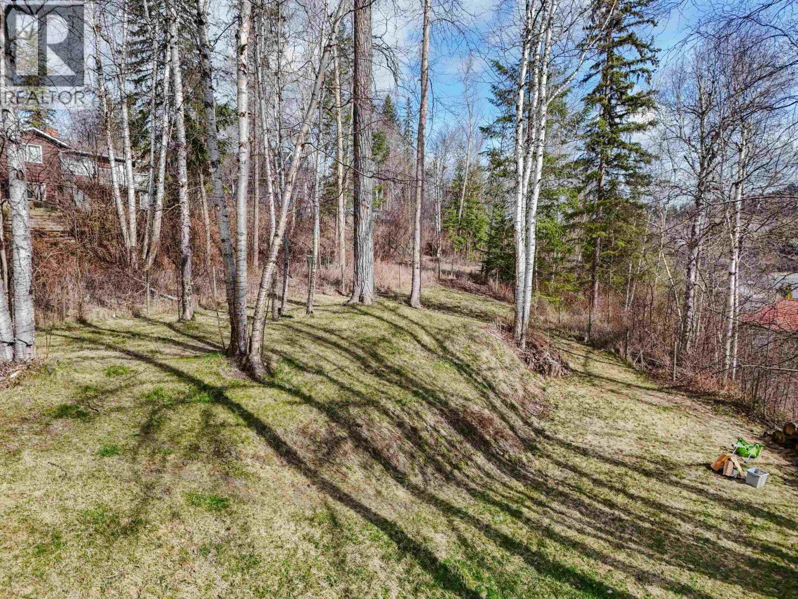 120 Lindsay Street, Quesnel, British Columbia  V2J 3E3 - Photo 30 - R3132761